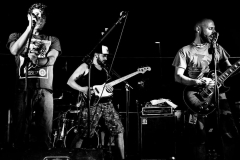 Diatomea_Band_BN2