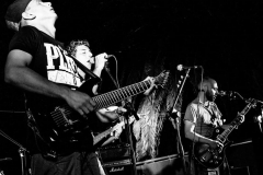 Diatomea_Band_BN4